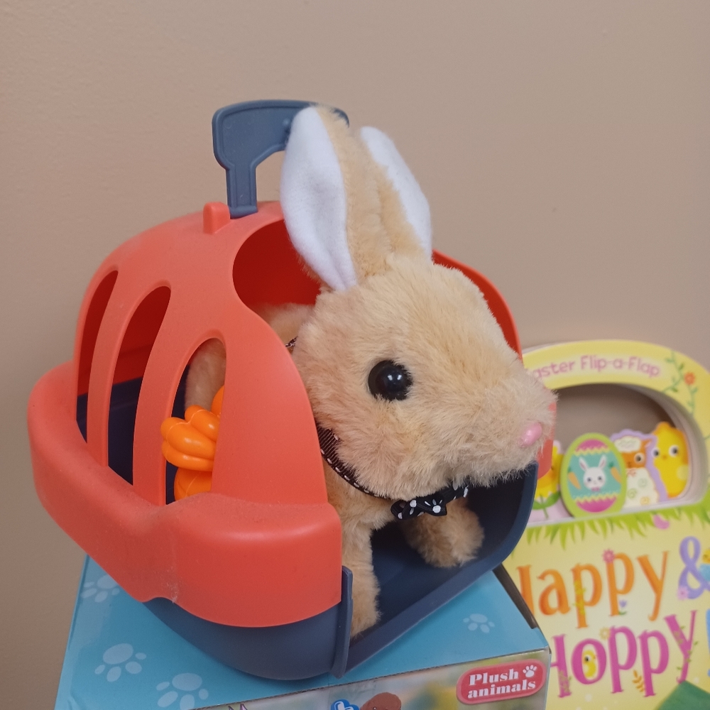 Gift bag with book & bunny